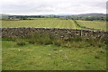 NY5806 : Dry stone wall beside minor road at Ewelock Bank by Roger Templeman