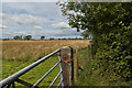 View across Hyles Moor from a gate off Hellifield Road