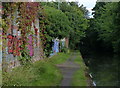 Graffitied wall along the towpath of the Grand Union Canal