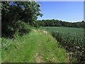 The Essex Way looking towards Garnon Bushes near Epping