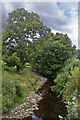 Skirden Beck (upstream)