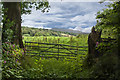 A gate with a view of Pendle Hill