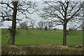 Pasture by the A59