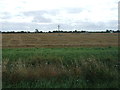 Recently harvested field, Metheringham Fen 