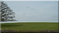 Farmland north of the A59