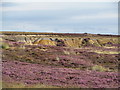 NZ6809 : Old quarry at the moor edge by Gordon Hatton