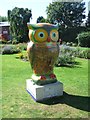 Papa Winson Owl (80)