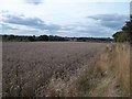 SK2816 : Footpath and Wheat Field near Linton Heath by Jonathan Clitheroe