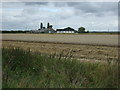 Harvest in progress