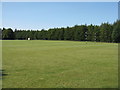 NO2322 : Polo lawn at Errol by M J Richardson