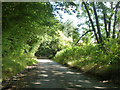 Lane descending to Whiteway Bottom