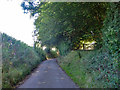 Lane towards Lilley Bottom