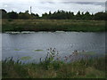 River Witham near Chapel Farm