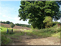 Farm track west from Lilley Bottom Road