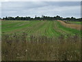 Farmland and drain near Thorpe Tilney 