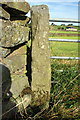 Gatepost with benchmark on west side of Raines Road