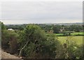 View from a Bristol-Cheltenham train - farmland and woodland near the M4