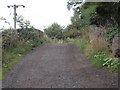 Footpath - School Lane