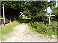 Footpath junction and signpost on the Knepp Estate