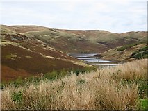 NN9204 : Lower Glendevon Reservoir by Richard Webb