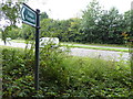 Looking across the A24 from footpath