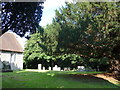 St Peter, Ash: churchyard (i)