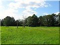 Scrase Valley Nature Reserve