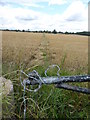 Barbed wire at the footpath access point