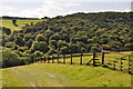 West Somerset : Grassy Field