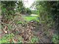 Drainage ditch below Ferndale