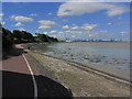 Coastal walkway at Beacon Cliff, Harwich