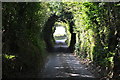 West Somerset : Ash Lane