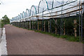 Poly tunnels near Pontshill