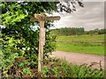 SJ4570 : Rural Signpost at Plemstall by David Dixon
