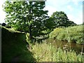 Public footpath on the south bank of the River Aire