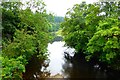 Endrick Water near Carbeth House