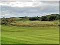 SJ2893 : Wallasey Golf Course by David Dixon