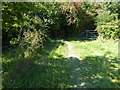 Field corner with gates north of Partridge Green