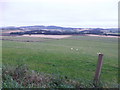 View NE from east flank of Auchronie Hill