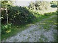 Footpath goes south from Wappinghurst Wood