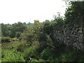 Old wall bordering the Limestone Link footpath