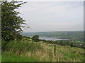 Upland pasture above Ubley beside the Limestone Link