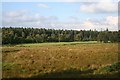 Fields near Netherton