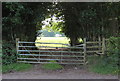 Field footpath to Twyn College