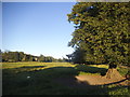 Field by the River Chess, Latimer