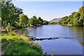 River Tay, Aberfeldy