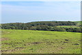 Farmland at Lagtutor Hill