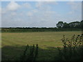 Farmland off Main Road