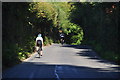 West Somerset : Country Road