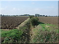 Dry drain and fields